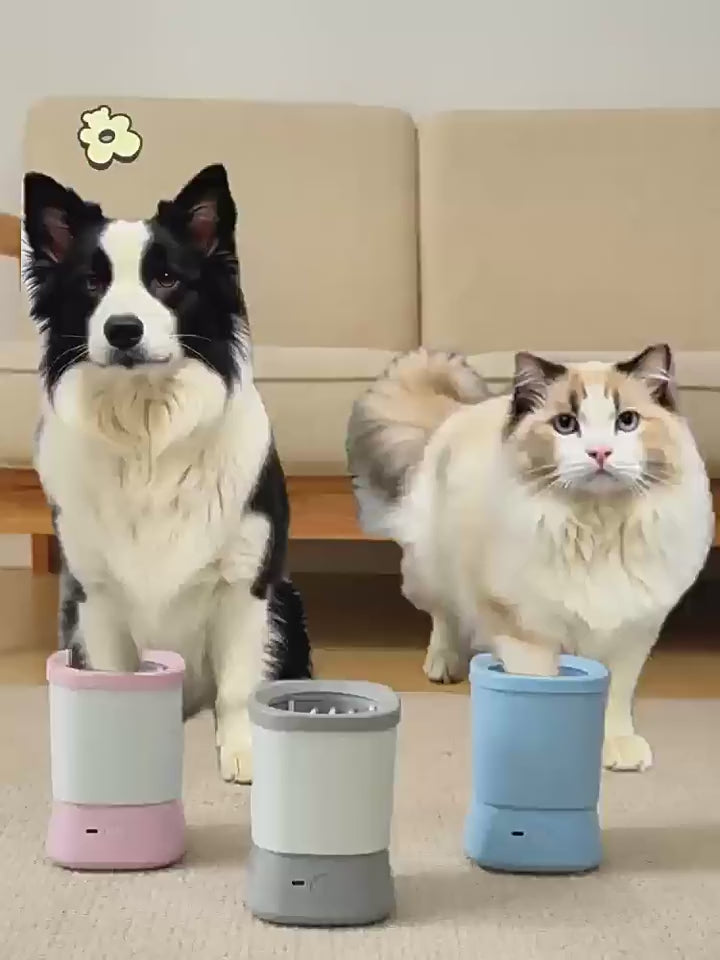 Automatic Pet Paw Cleaner | Muddy Paw Washer Dogs & Cats | Ree's Harbour